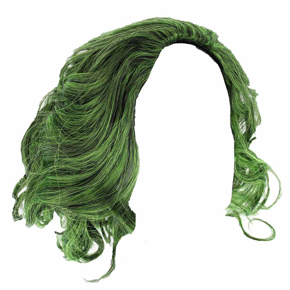 Zac's Alter Ego - Green Joker Perruque - Vert